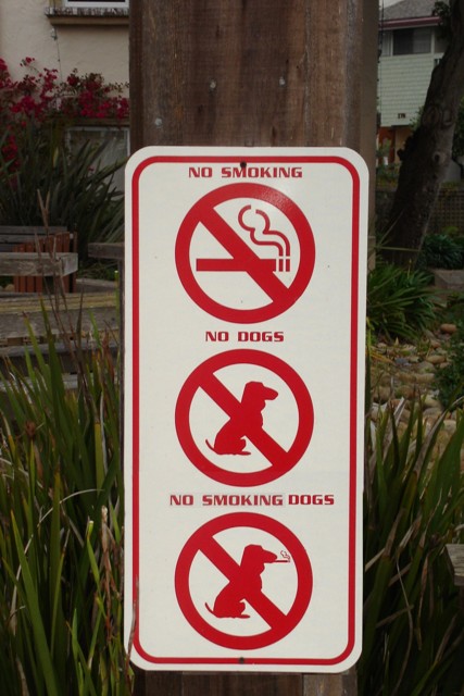 No Smoking Dogs