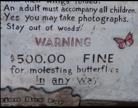 Butterfly Molesting