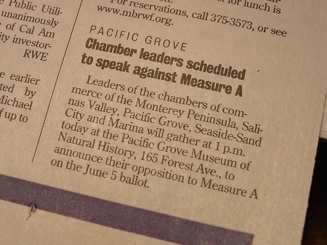 Campaigning At The Mvsevm