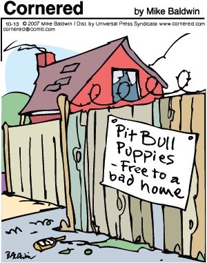 Cornered Comic 071013