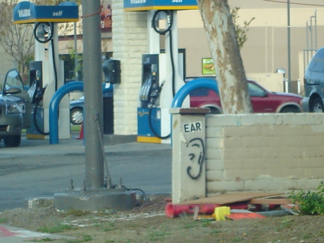Ear