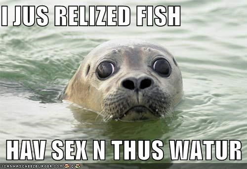 Fish Have Sex In This Water