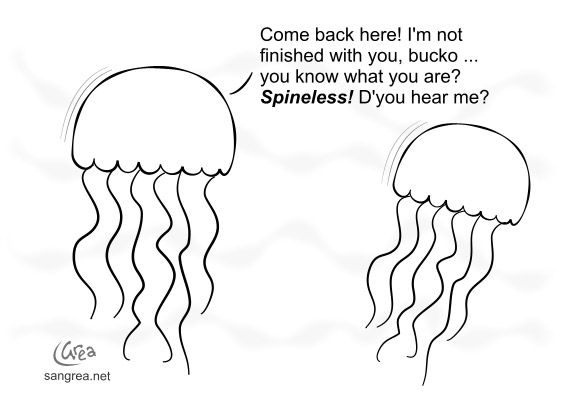 Jellyfish Spineless