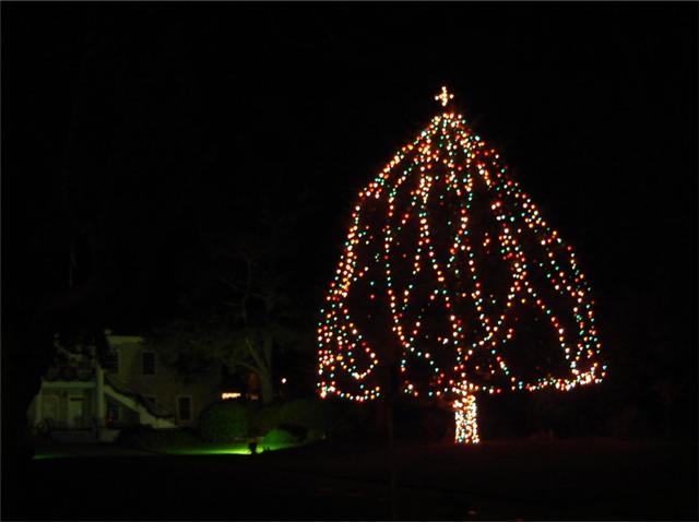 Monterey Xmas tree