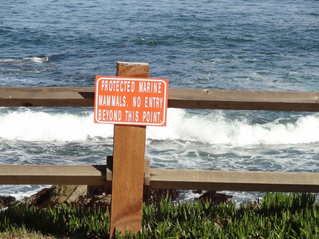 Seal Posse Orange Sign