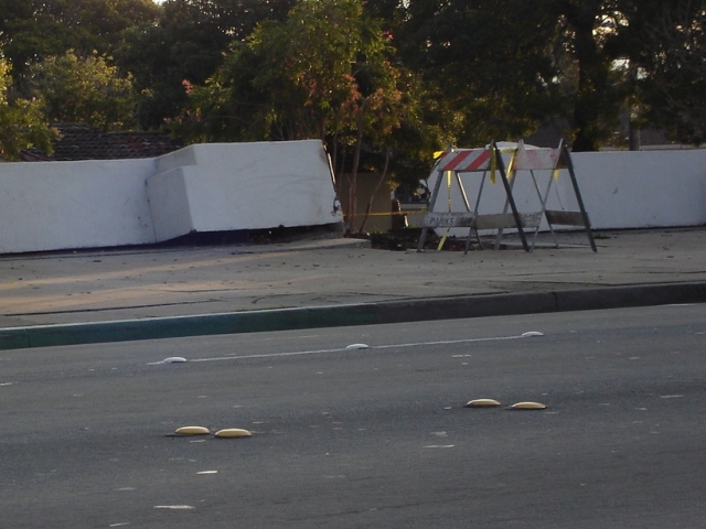 Sholz Park Tree Damage