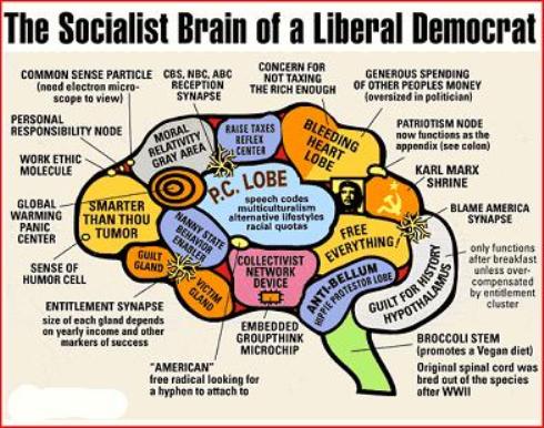 Socialist Brain